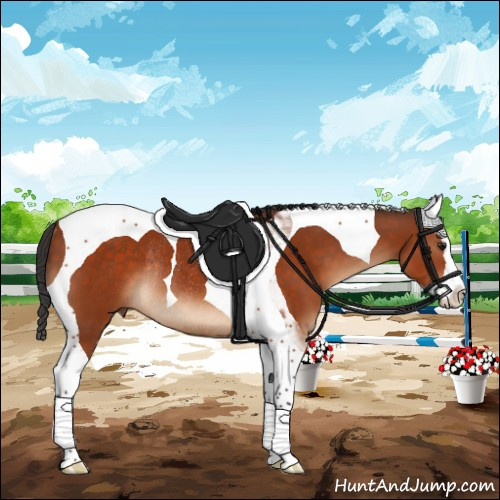 Horse Color:Brown Splash Tobiano Rabicano