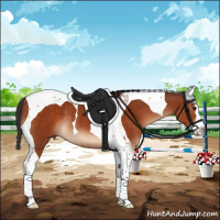 Horse Color:Brown Splash Tobiano Rabicano 