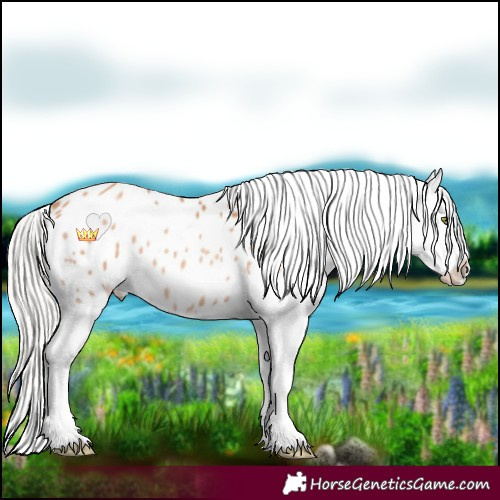 Horse Color:Silver Classic Champagne Sabino Appaloosa 