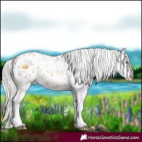 Horse Color:Silver Classic Champagne Sabino Appaloosa