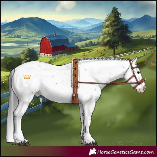 Horse Color:Brown Dun Sabino Near Leopard