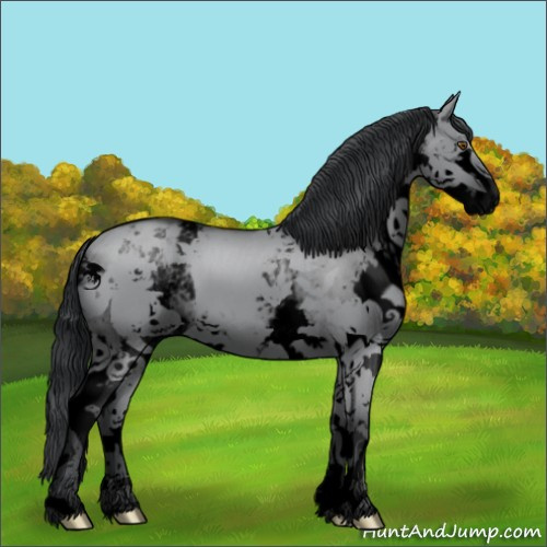 Horse Color:Void White Spotted Grullo Chinchilla Splash 