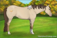 Horse Color:Classic Cream Champagne Dun Tobiano 
