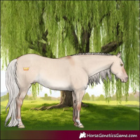 Horse Color:Silver Sable Champagne Dun Rabicano 