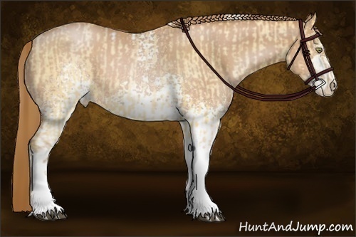 Horse Color:Bay Pearl Dun Sabino Tobiano  and White Spotted Brown Pearl Sabino 