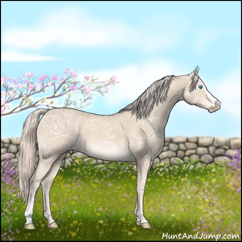 Horse Color:Cremello Ice Sabino 