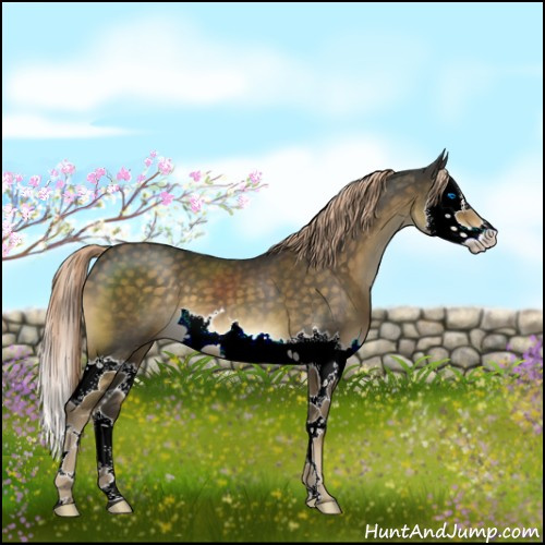Horse Color:Chocolate Palomino Splash 