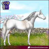 Horse Color:Gray White Spotted Chocolate Palomino Dun Mushroom Splash Brindle