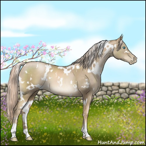 Horse Color:White Spotted Chocolate Palomino Pearl 