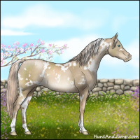 Horse Color:White Spotted Chocolate Palomino Pearl 