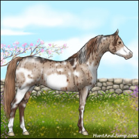 Horse Color:White Spotted Liver Red Dun Frame Brindle 