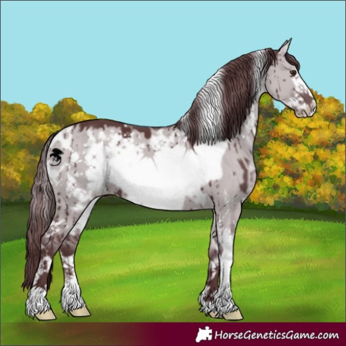 Horse Color:White Spotted Chocolate Grullo Chinchilla Frame Brindle
