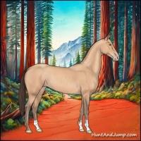 Horse Color:Amber Champagne 