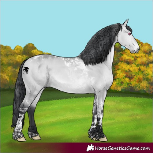Horse Color:Bay Chinchilla Dun Tobiano 