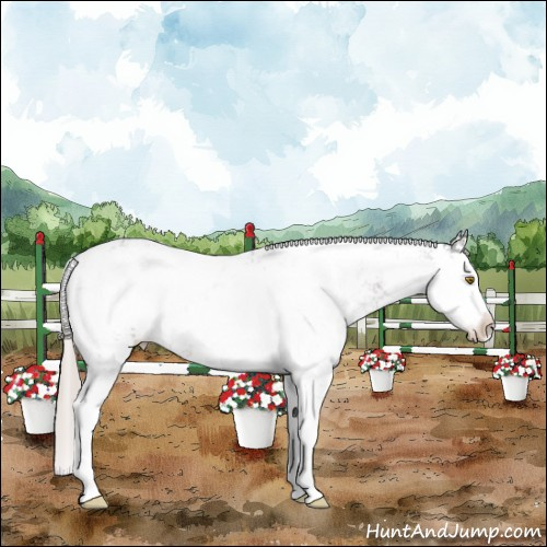 Horse Color:Silver Black Sabino 