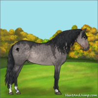 Horse Color:Platinum Brown Dun Sabino 
