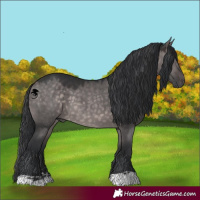 Horse Color:Platinum Brown Dun 