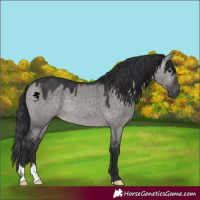 Horse Color:Platinum Brown Dun 