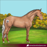 Horse Color:Silver Amber Champagne 