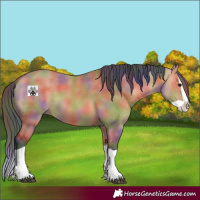 Horse Color:Nacre Bay Dun Splash