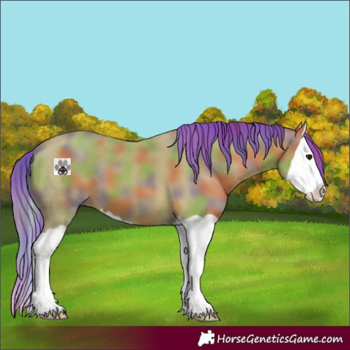 Horse Color:Nacre Watercolor Bay Splash 