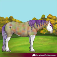 Horse Color:Nacre Watercolor Bay Splash 