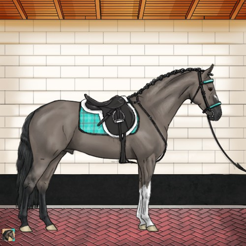 Horse Color:Grullo 