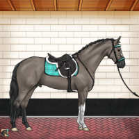 Horse Color:Grullo 