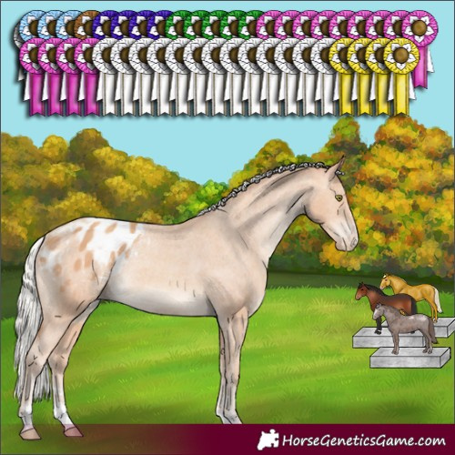 Horse Color:Silver Amber Champagne Varnish Rabicano 