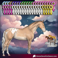 Horse Color:Silver Amber Champagne Varnish Rabicano 