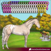 Horse Color:Silver Amber Champagne Appaloosa Rabicano