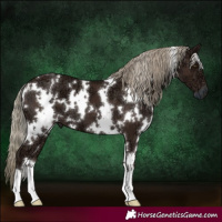 Horse Color:White Spotted Liver Chestnut Ice Mushroom 