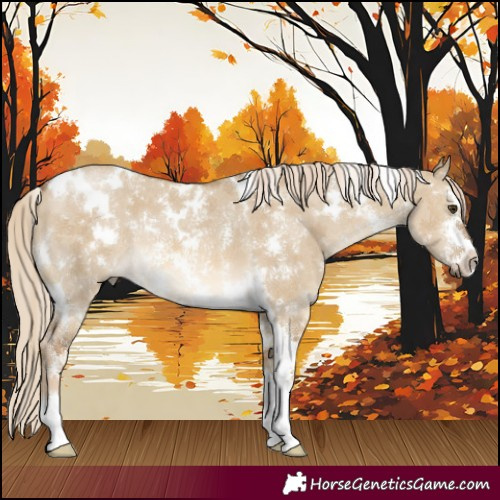 Horse Color:White Spotted Chocolate Palomino Dun Sabino 