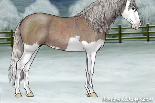 Horse Color:Silver Blue Roan Splash 