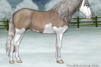 Horse Color:Silver Blue Roan Splash 