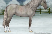 Horse Color:Silver Blue Roan 