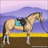 Horse Color:Buckskin Dun 