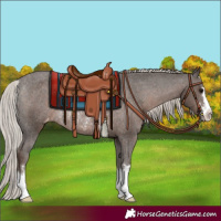Horse Color:Silver Black Varnish Rabicano