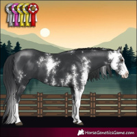 Horse Color:Black Sabino