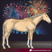 Horse Color:Palomino 