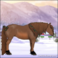 Horse Color:Void Red Roan Sabino