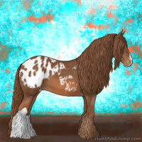 Horse Color:Chestnut Appaloosa 