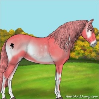Horse Color:Watercolor Liver Red Onyx Sabino 