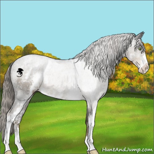 Horse Color:White Spotted Chocolate Palomino Sabino 