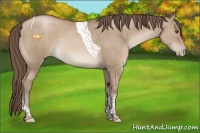 Horse Color:Grullo Pearl Tobiano Rabicano Brindle 