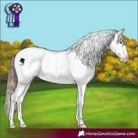 Horse Color:White Spotted Brown Dun Sabino Appaloosa 