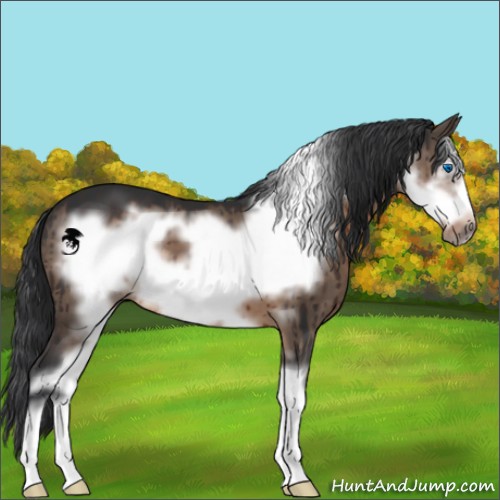 Horse Color:Brown Dun Sabino Frame Brindle 