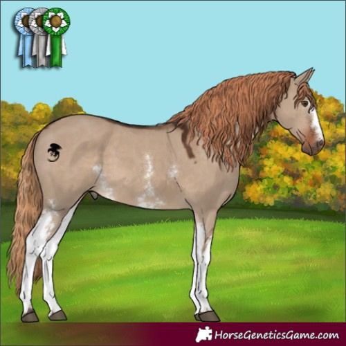 Horse Color:White Spotted Liver Red Dun
