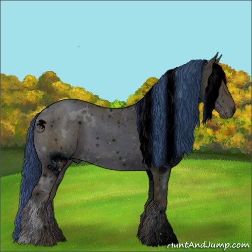 Horse Color:ERROR: UNKNOWN ANOMALY