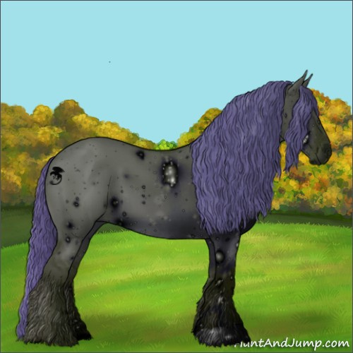 Horse Color:ERROR: UNKNOWN ANOMALY